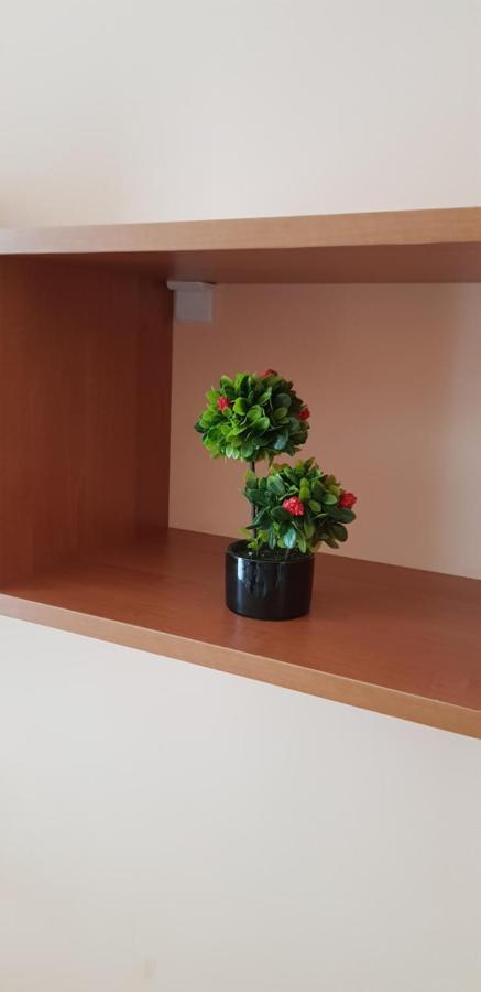 Elit 4 Apartments Sunny Beach Ngoại thất bức ảnh